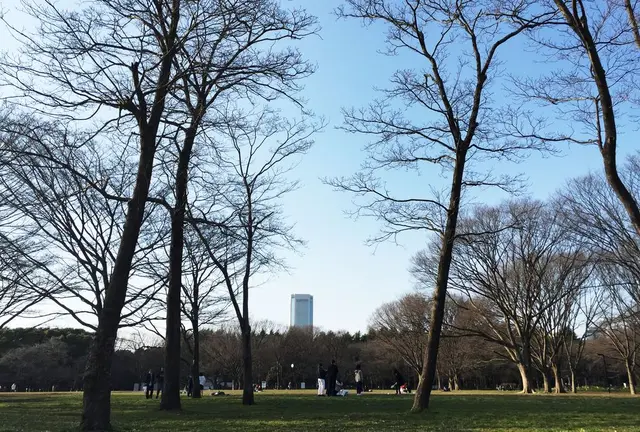 代々木公園〜原宿で春を楽しむデートプラン
