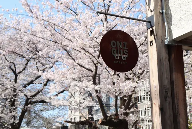 お花見のお供にはコーヒーを！☕️人気No.1桜スポット【中目黒】でお花見カフェ巡り🌸
