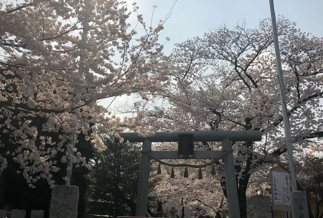 埼玉県狭山市水富から稲荷山公園