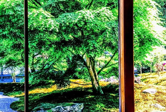春の癒し旅行
