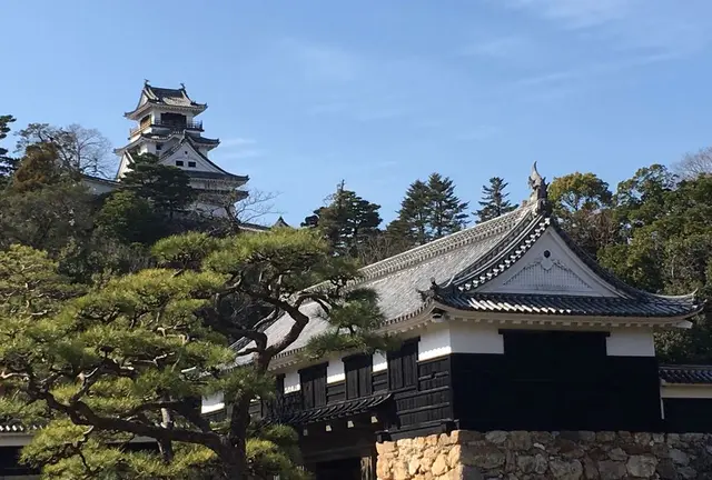 石ちゃんのぶらり旅🚘-日曜市をぶらり散策-