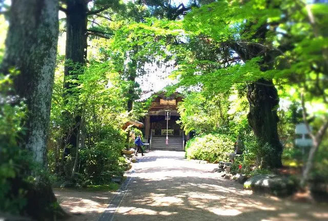 お遍路参り〜松山編〜