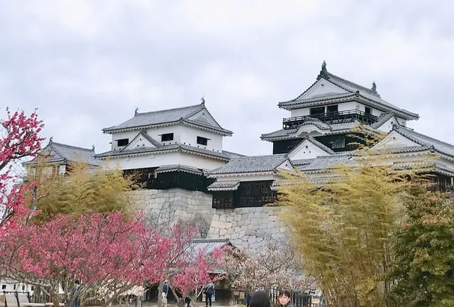 ［1泊2日］愛媛  松山堪能プラン