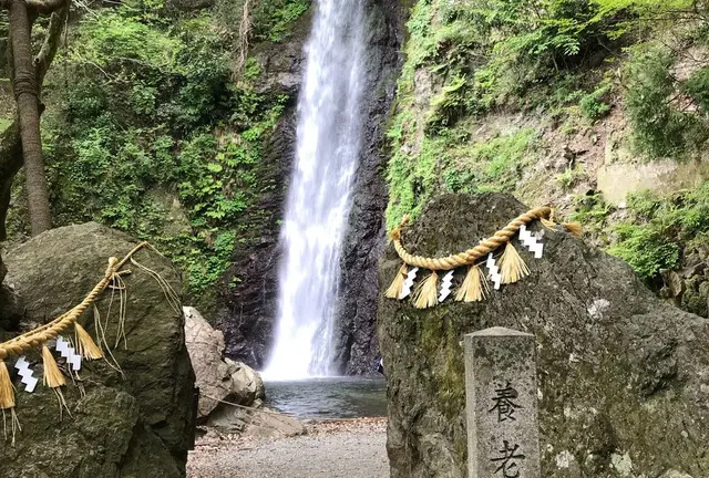 長良川温泉 岐阜城の旅180430