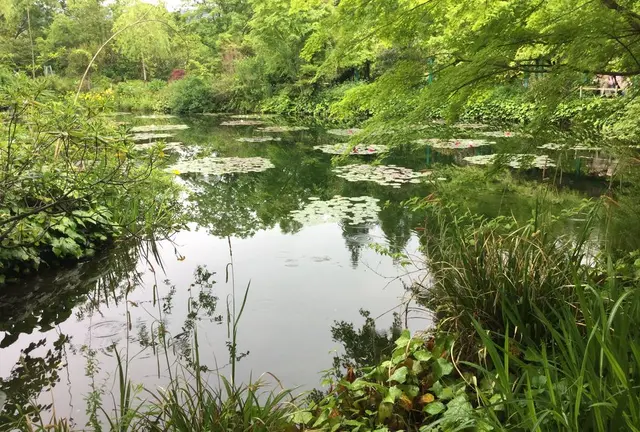 安芸市の旅