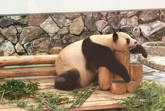 紀伊半島を満喫 世界遺産とパンダツアー