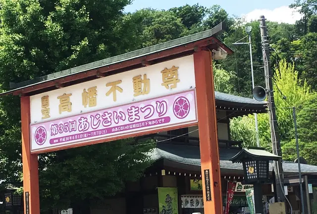 高幡不動尊のあじさいまつりを見てあじさいソフトで一休み