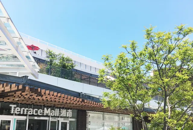 雨でも楽しめる湘南日帰り旅