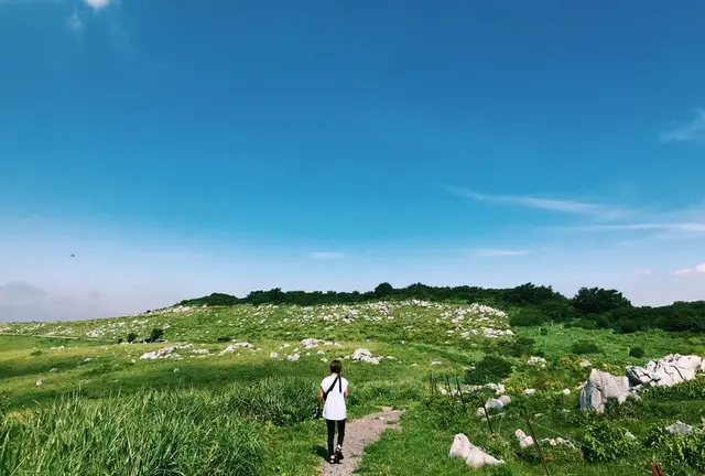 しまなみ海道から渡る高知ざっくり一周女子旅👭