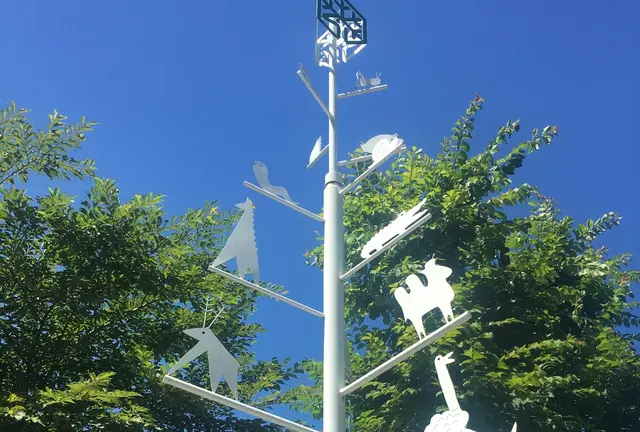 見どころ盛りだくさん。おすすめ札幌発バスツアー。旭川→美瑛→富良野