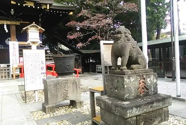 【2022年5月22日放送分】フジテレビ「なりゆき街道旅」で紹介されたお店【埼玉県・川口】