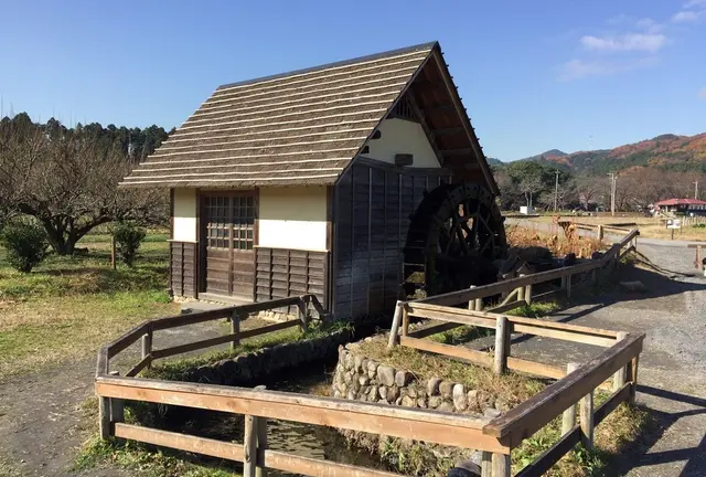 三峯神社と彼岸花をめぐりに埼玉へ日帰りひとり旅