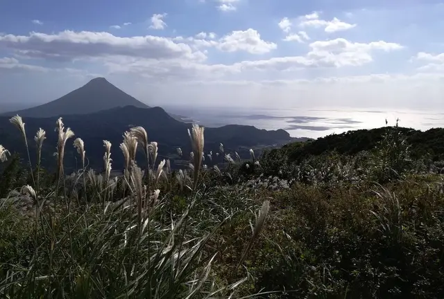 【頴娃町大野岳】薩摩半島のパノラマ絶景スポット大野岳　10月に桜が！？