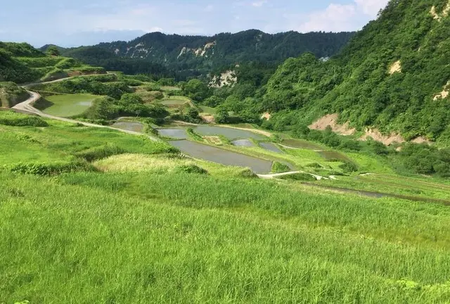 山形県大蔵村 紅葉 棚田 蕎麦 肘折温泉