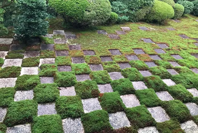 《京都だからできる！》お洒落なお店を巡る秋の日帰り旅