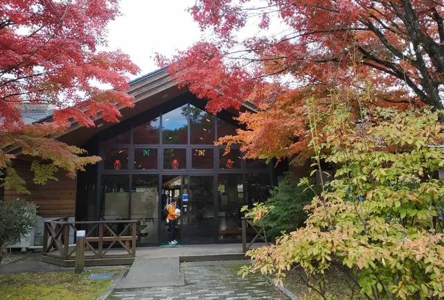 大人のキャンプin日光
