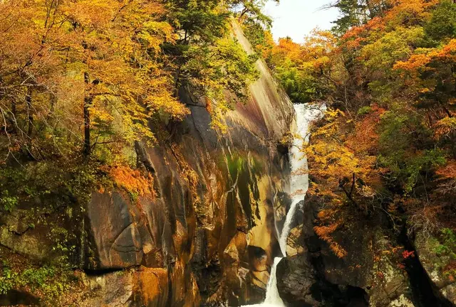 東京から日帰り。昇仙峡で紅葉の旅withわんこ