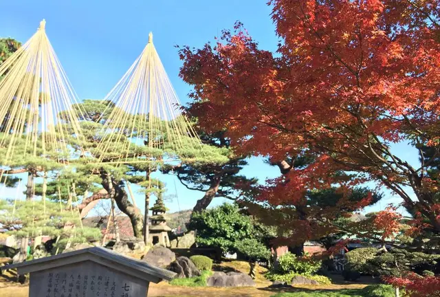 晩秋の北陸三県の旅🍁 富山 金沢 福井 プラス白川郷