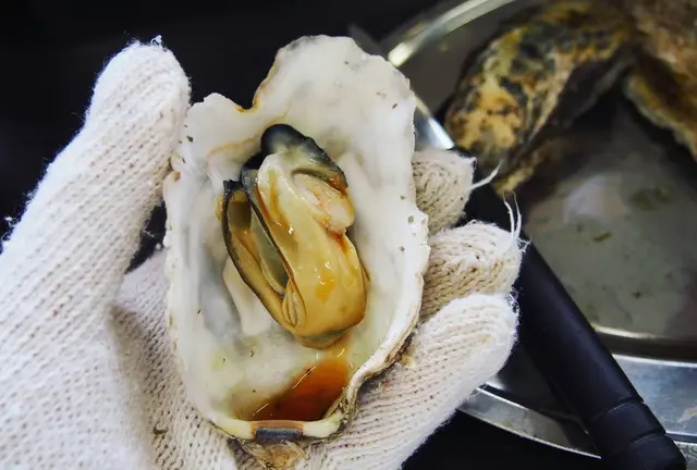 冬の塩釜・松島  美味しい海鮮を食べに行こう！