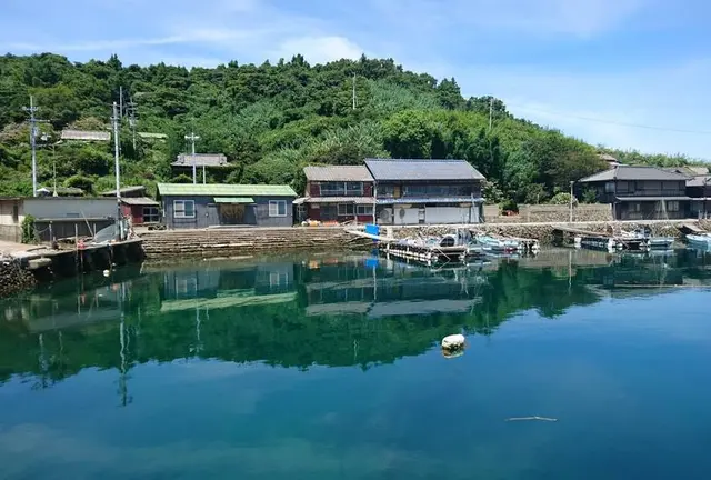 猫に会いに行く　青島