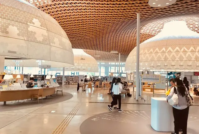 美しく芸術的な図書館への旅📖
