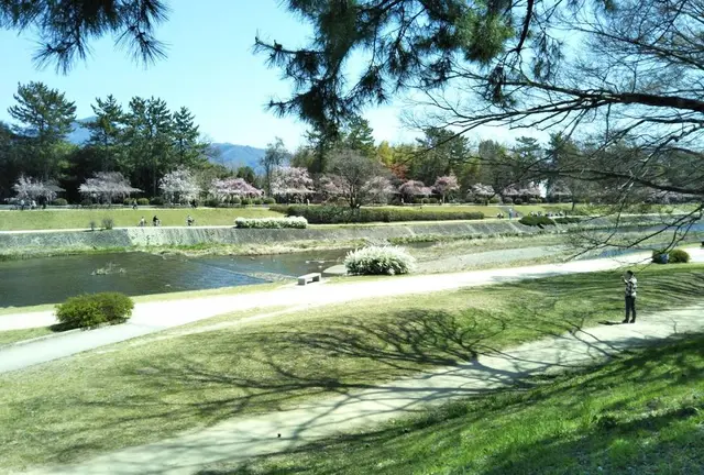 上賀茂神社2023.6/19