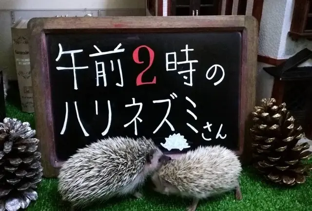池袋