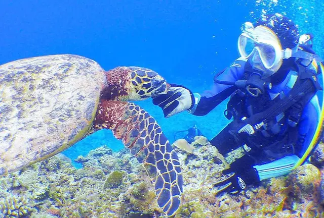 心とお腹を満たす旅🏖沖縄那覇観光にダイビング✨ひとりでもパーフェクトに楽しい3泊4日女子旅とは🎶
