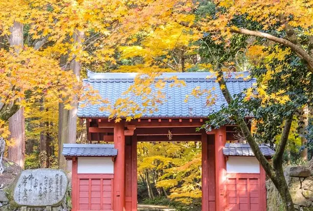 湖東三山紅葉🍁狩ツアー