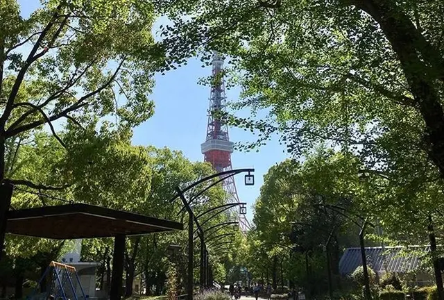 晴れたら芝公園でピクニック