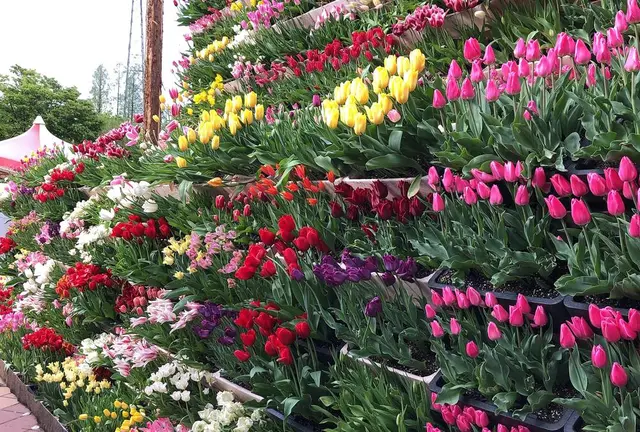 富山横断の旅🌷