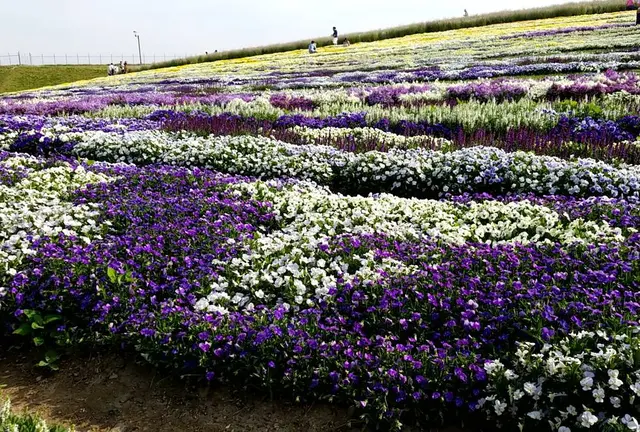 【安曇野　穂高神宮】御朱印と花と手拭いと