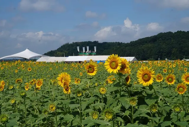 栃木一泊旅行