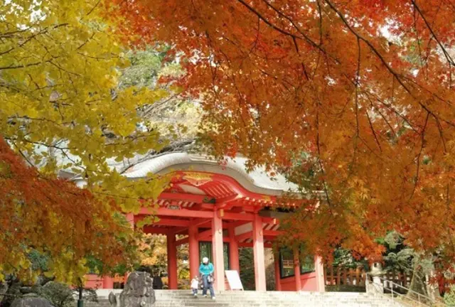 紅葉🍁香取神宮⛩と成田山新勝寺と食べ歩き🍡🍘