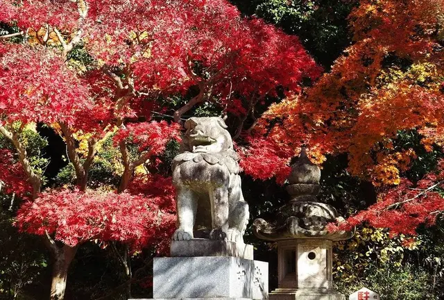 紅葉🍁香取神宮@茨城スポット🚘