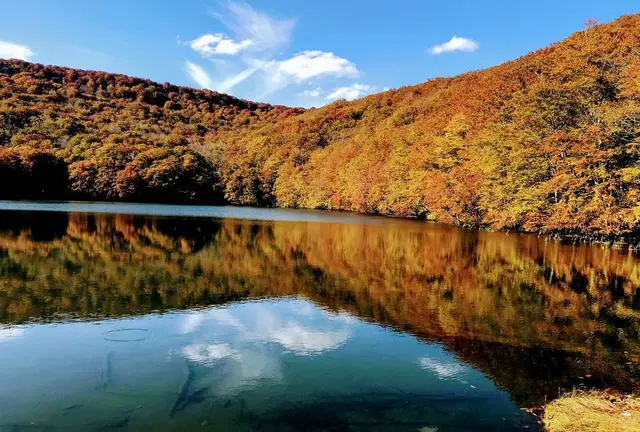 東北　水のある風景を巡る旅