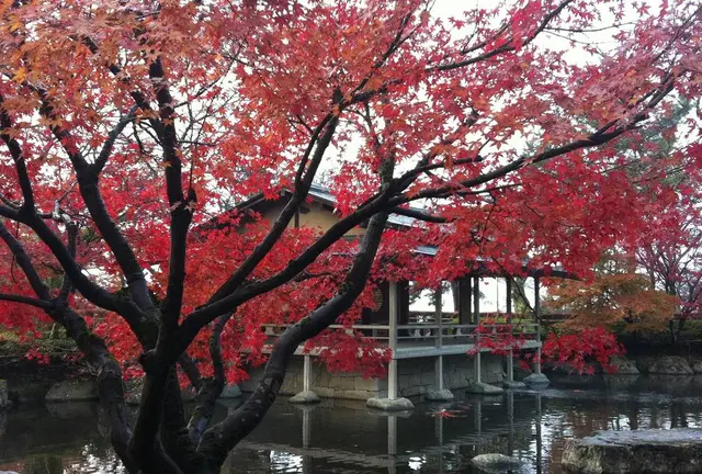 秋の紅葉の名所