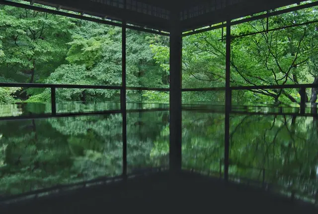 秋の京都🍁洛北ぶらり旅