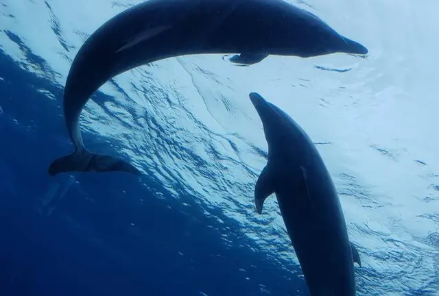 初めての👫💓👫