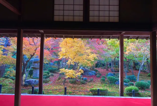 【京都】紅葉をめぐる旅。2019ver