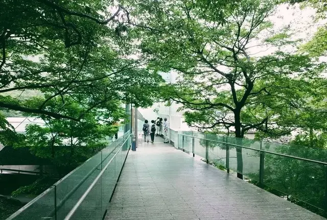 週末ぶらり旅。雨の箱根と小田原散策