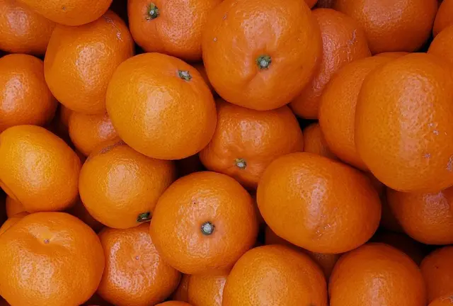 松山みかんシリーズ🍊