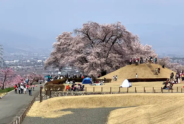 山梨&ちょっぴり長野~春旅行🌸~