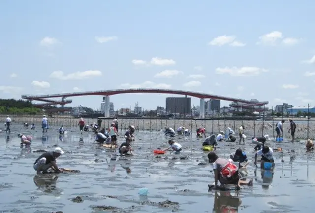 5月～6月限定！東京から潮干狩り