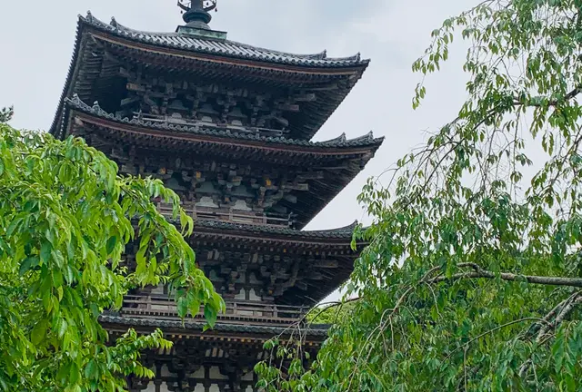 神仏巡り❁京都市東山区・伏見区(随時更新)