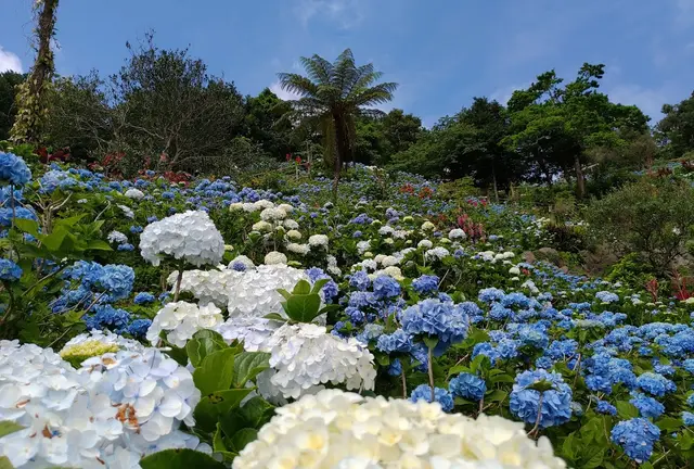 今帰仁村日帰り満喫旅♡