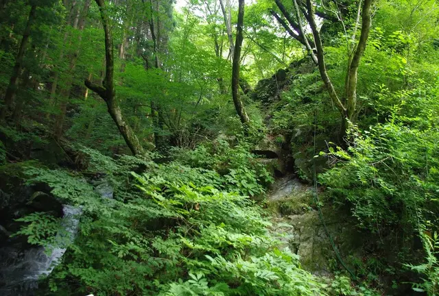 ～自然と歴史が融合した桐生を満喫～根本山までドライブの旅