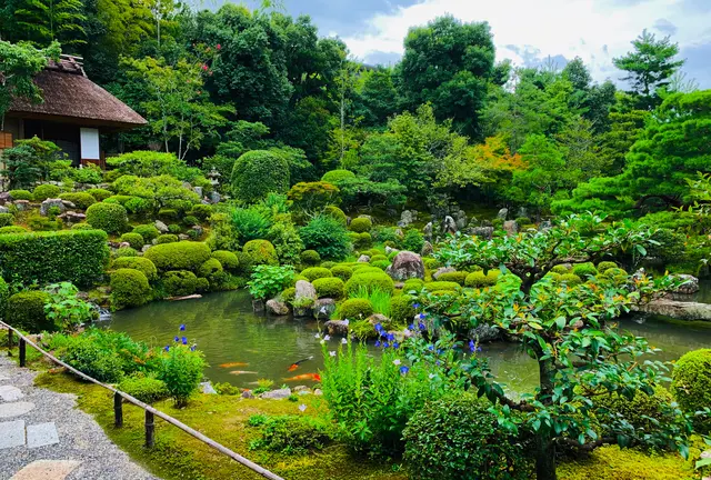 神仏巡り❁⃘京都市北区・左京区【随時更新】