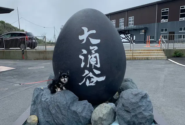 わんこと箱根