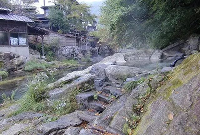 最強の日光プラン